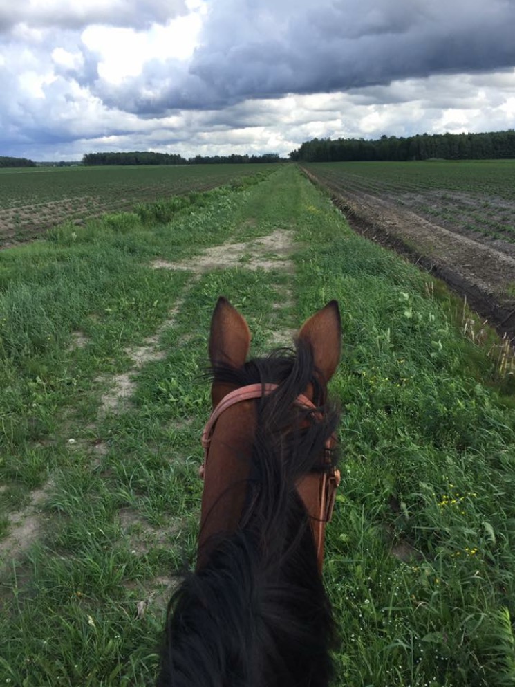 La Ferme! | 622 Rang des Sapins, Sainte-Eulalie, QC G0Z 1E0, Canada | Phone: (819) 244-9598