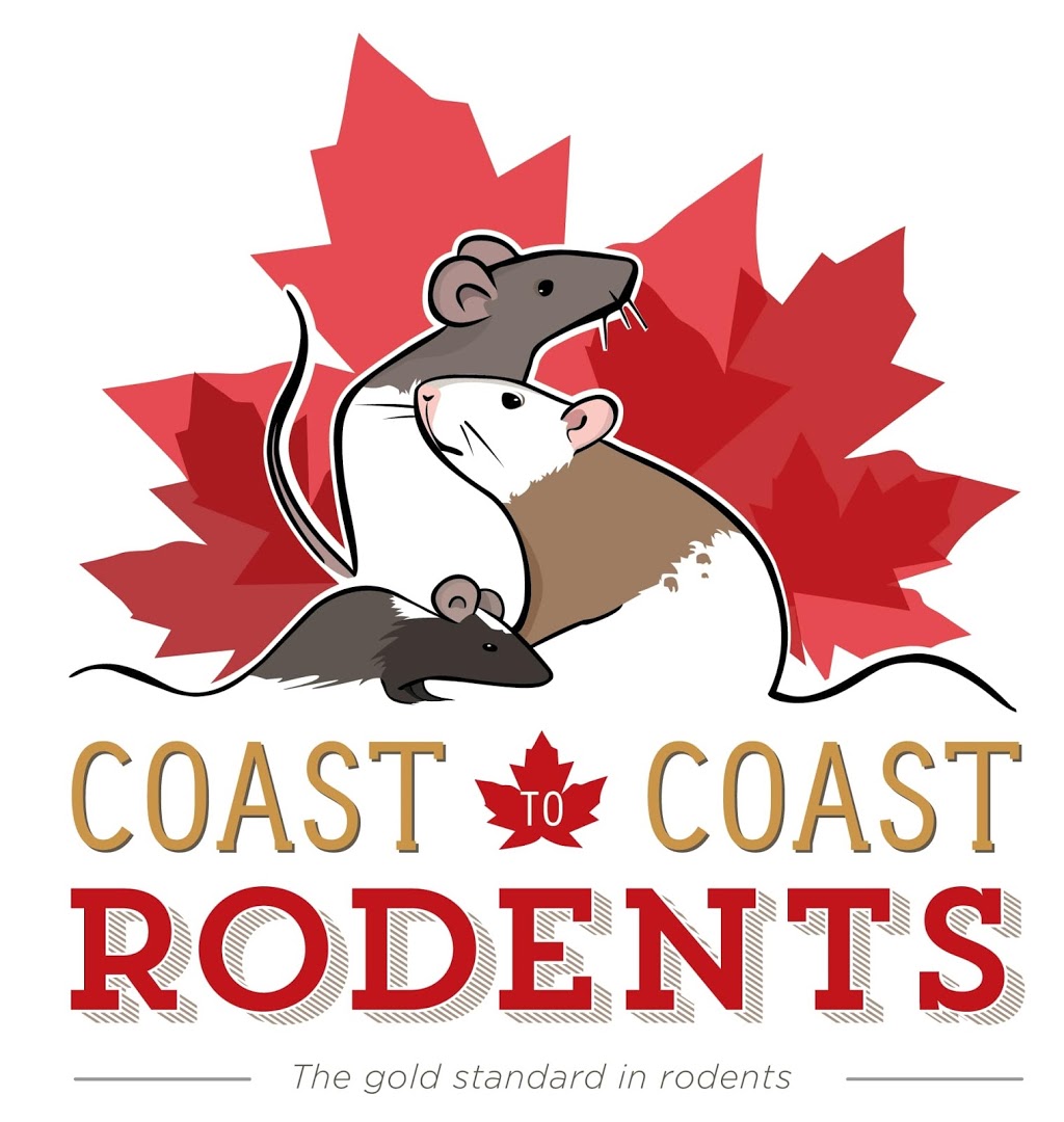 Coast To Coast Rodents | 3291 ON-7A, Blackstock, ON L0B 1B0, Canada | Phone: (905) 439-6533