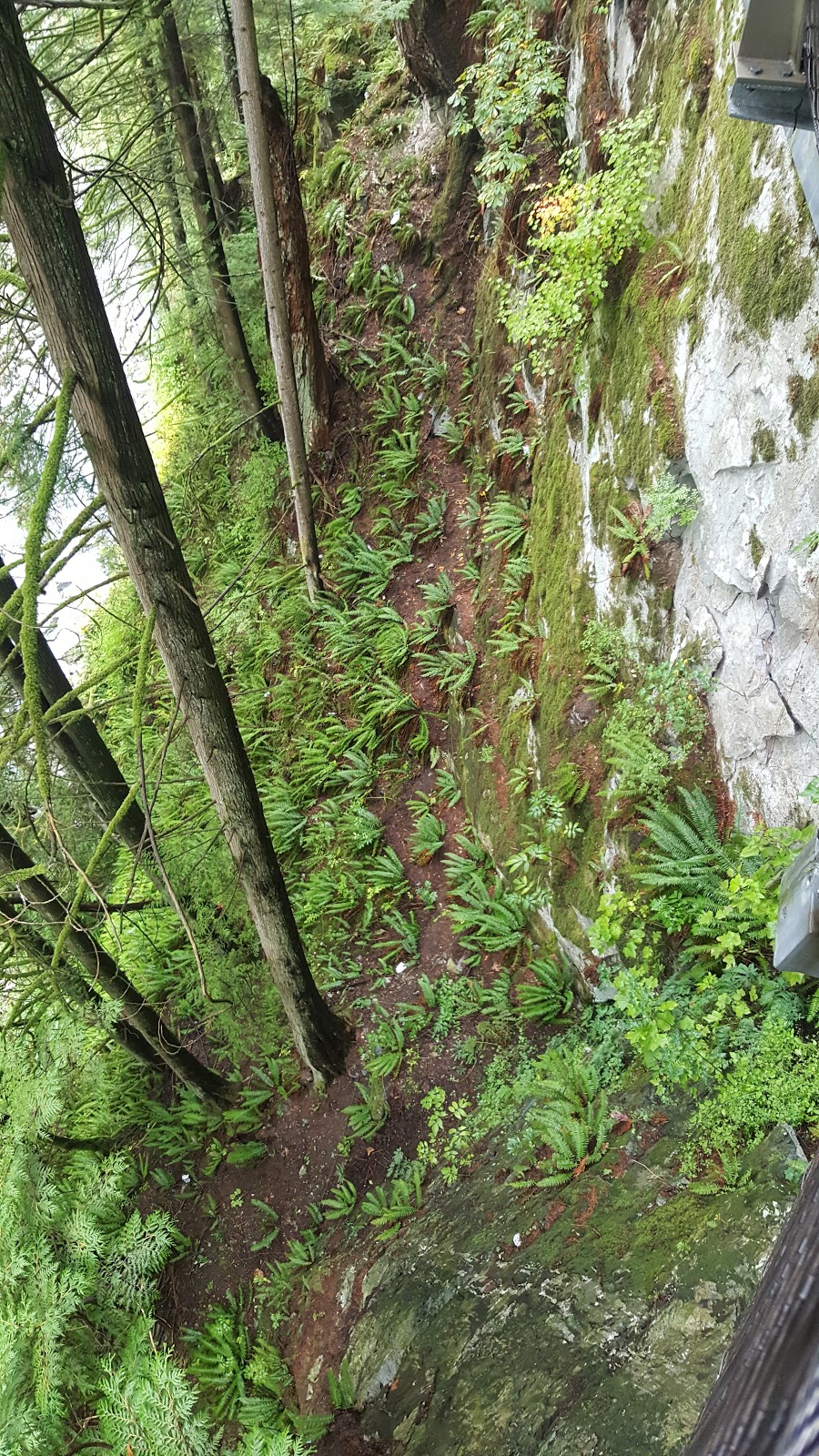 Capilano Suspension Bridge Park | Unnamed Road, North Vancouver, BC V7R 4H9, Canada