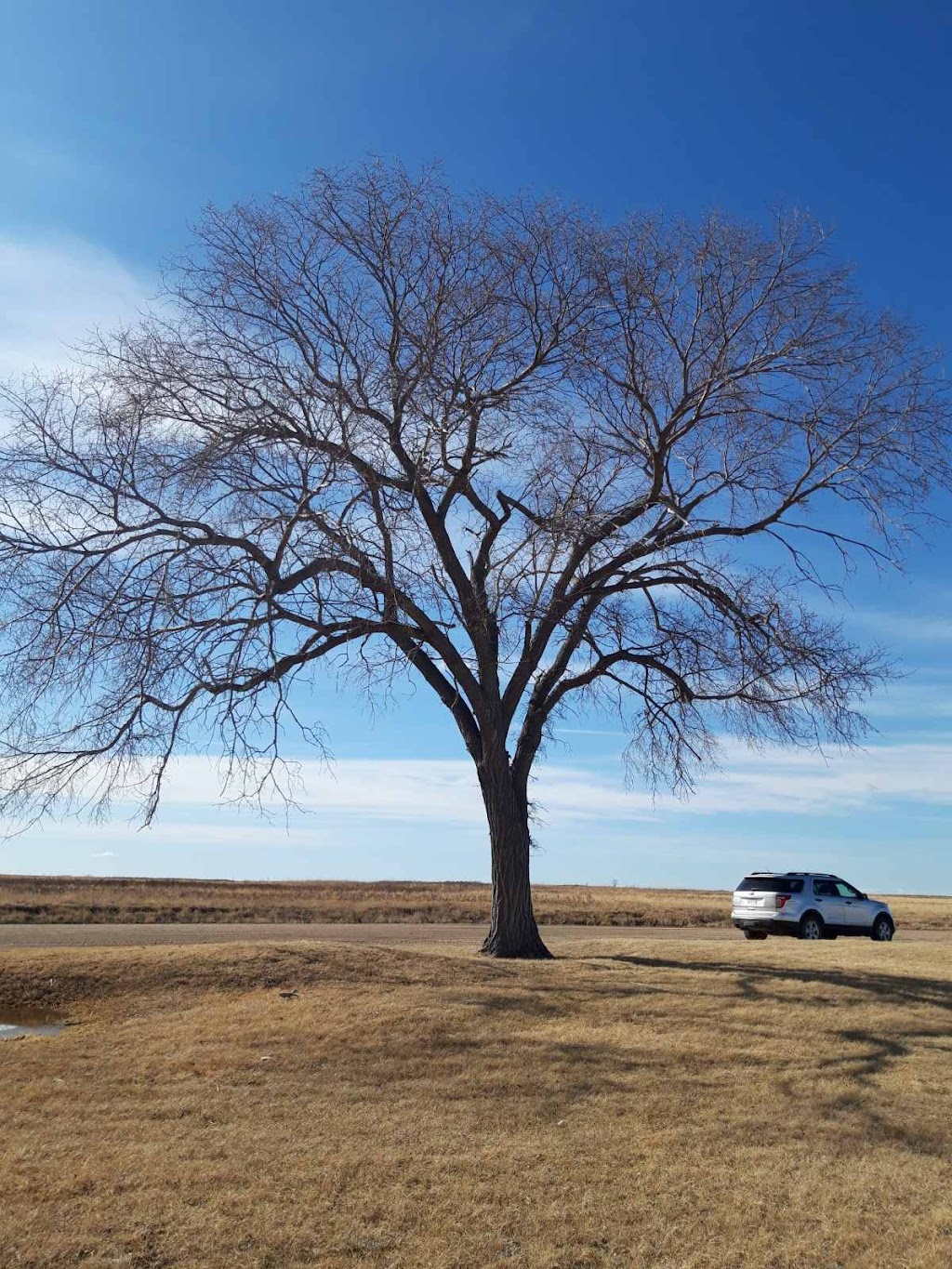 Old Wives Lake Nature Area and Interpretive Trails | Unnamed Road, Mossbank, SK S0H 3G0, Canada | Phone: (306) 354-2294