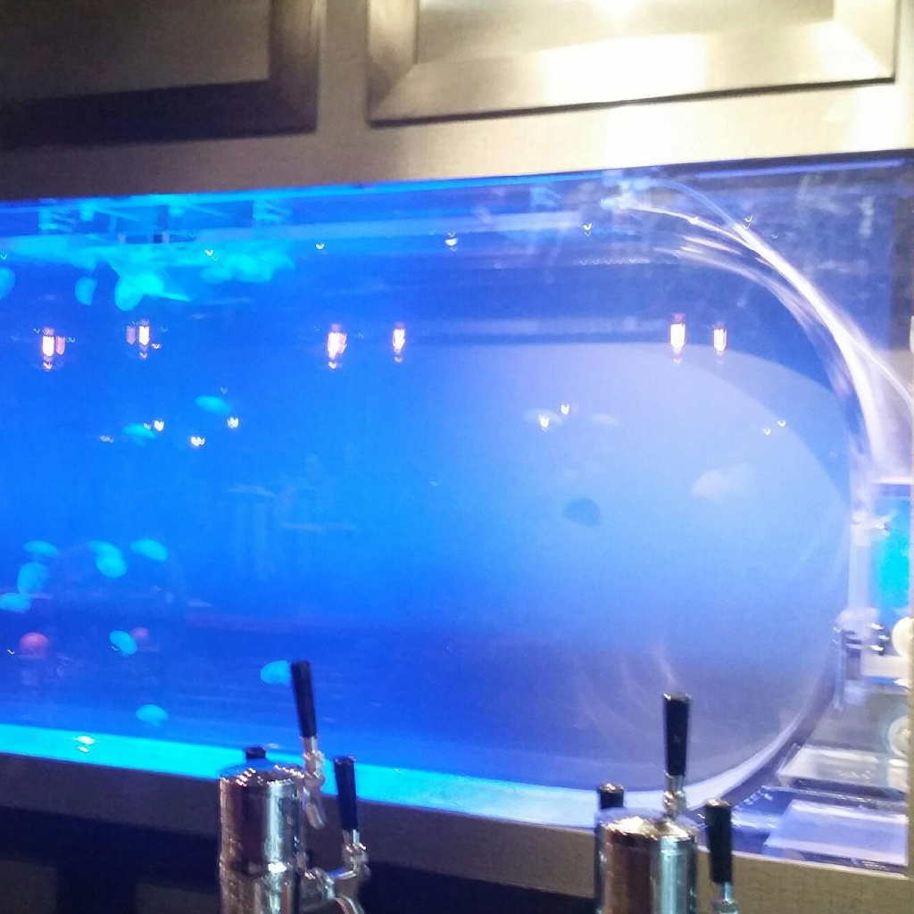 Canada Jellyfish | 2861 St Clair Ave E, East York, ON M4B 1N4, Canada | Phone: (647) 948-9305