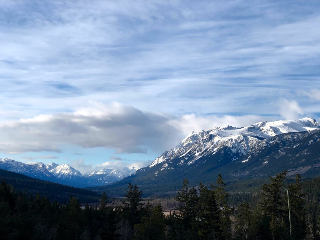 Skinner Creek Guest Ranch | 6775 Tatlayoko Rd, Tatlayoko Lake, BC V0L 1W0, Canada | Phone: (250) 476-1288