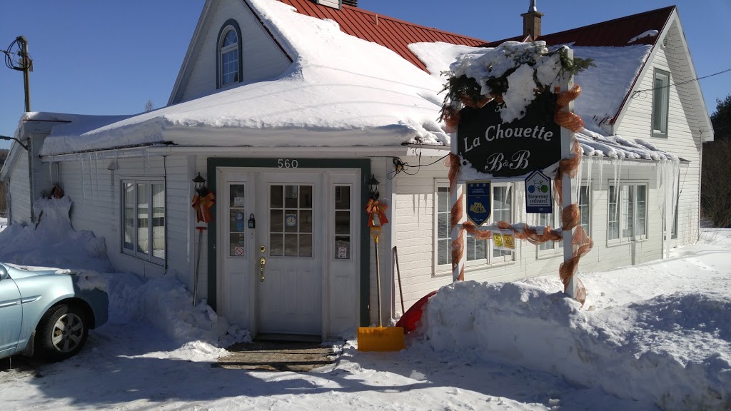 La Chouette À Mansonville | 560 Rte de Mansonville, Mansonville, QC J0E 1X0, Canada | Phone: (450) 292-3020