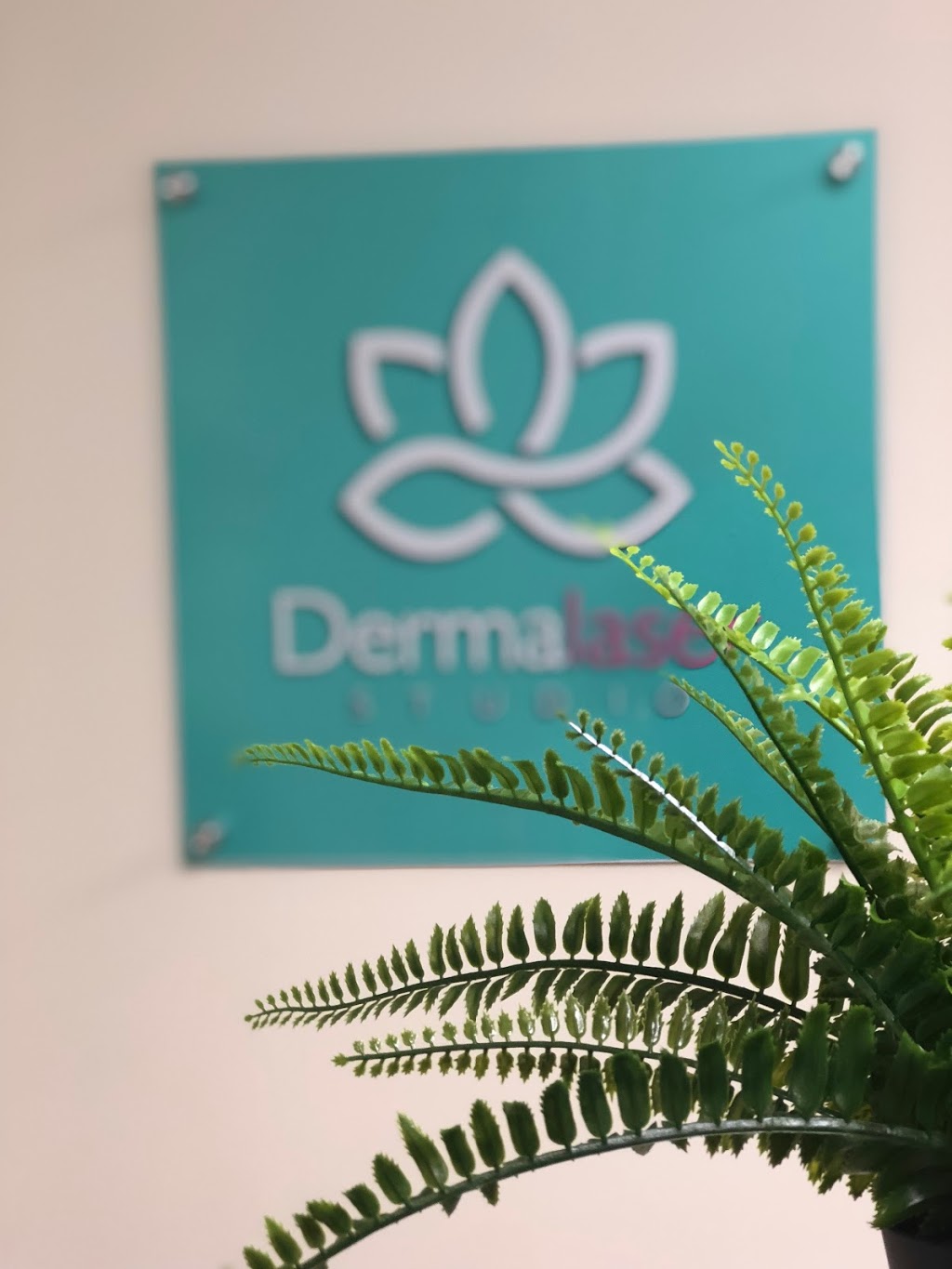 Dermalaser Studio | 1217 St Clair Ave W Suite 101LL, Toronto, ON M6E 1B5, Canada | Phone: (647) 573-0802