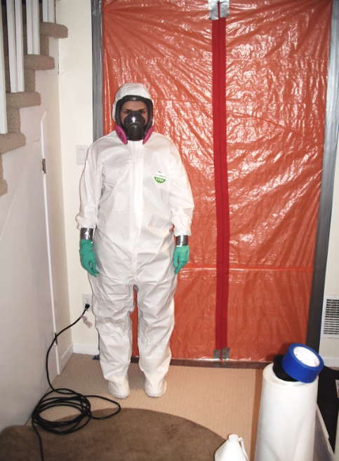 Canadas Restoration Services Asbestos Removal Mississauga | 1 Dove Hawk Way, North York, ON M2R 3M1, Canada | Phone: (416) 479-8606