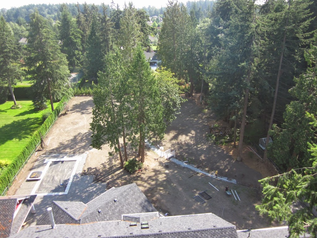 Woodridge Tree Consulting Arborists Ltd | 13026 Crescent Rd, Surrey, BC V4P 1J8, Canada | Phone: (778) 847-0669