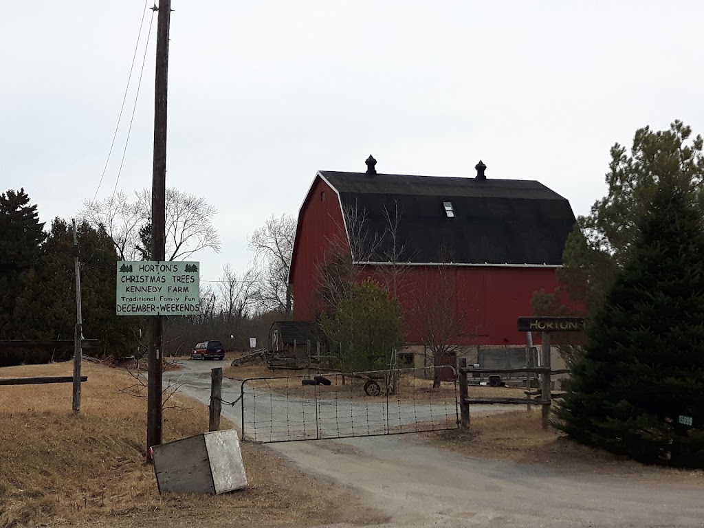 Horton Tree Farms | 15899 Kennedy Rd, Whitchurch-Stouffville, ON L4A 7X5, Canada | Phone: (800) 420-7385