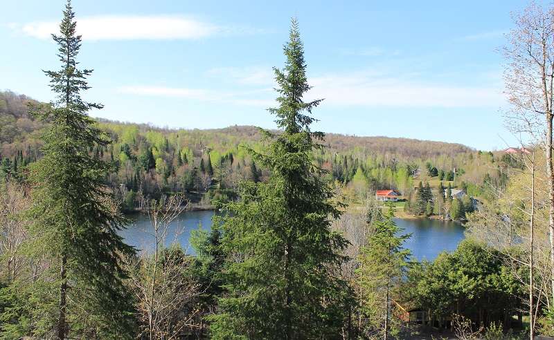 Gîte Vita Bella B&B | 280 Chemin de Bellefeuille, Saint-Adolphe-dHoward, QC J0T 2B0, Canada | Phone: (819) 327-5037