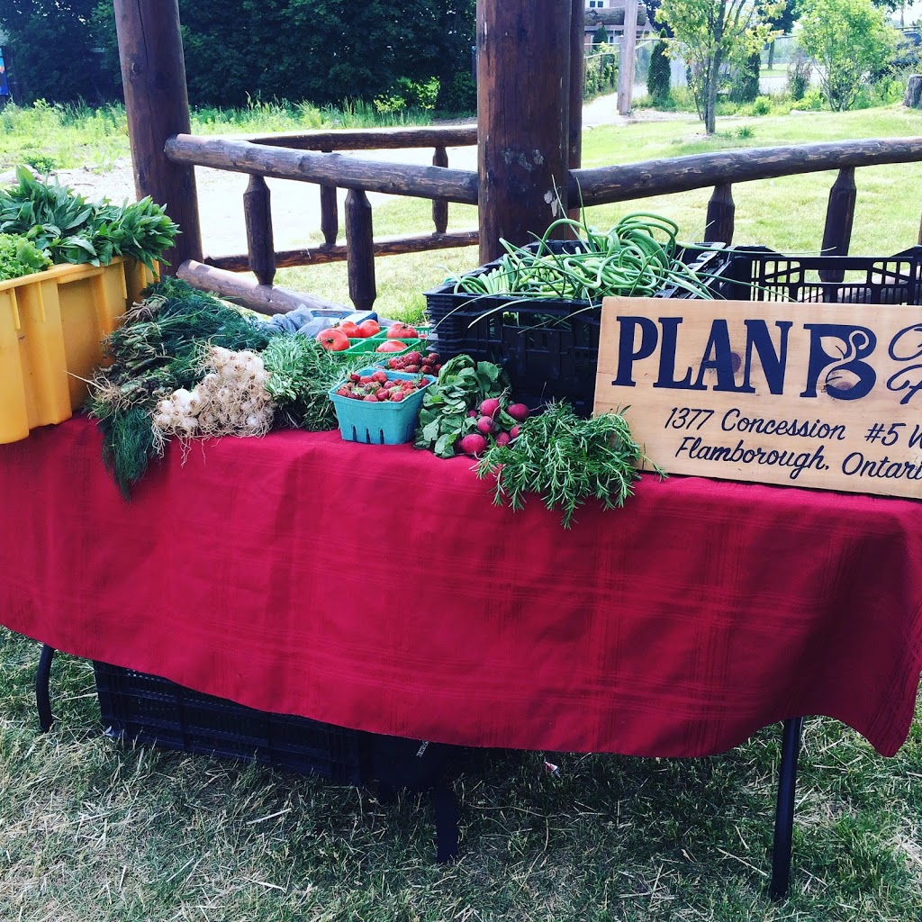 McQuesten Urban Farm | 785 Britannia Ave, Hamilton, ON L8H 6P7, Canada