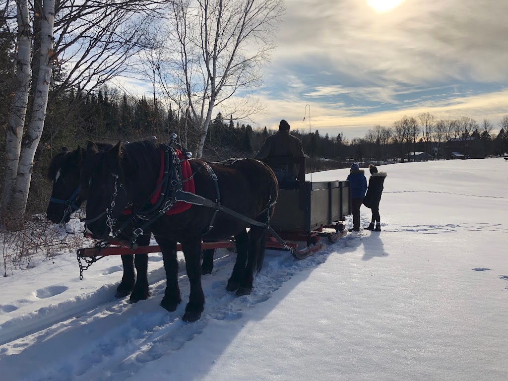 Sawyers Creek Bed & Breakfast | 1039 Busy Rd, Algonquin Highlands, ON K0M 1J1, Canada | Phone: (416) 239-3971