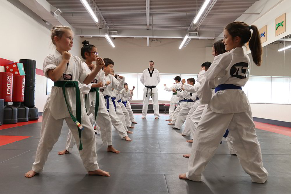 Top Level Taekwondo & Martial Arts Academy Cambridge | 1655 Bishop St N Unit 101, 102, Cambridge, ON N1R 8B5, Canada | Phone: (519) 623-9596