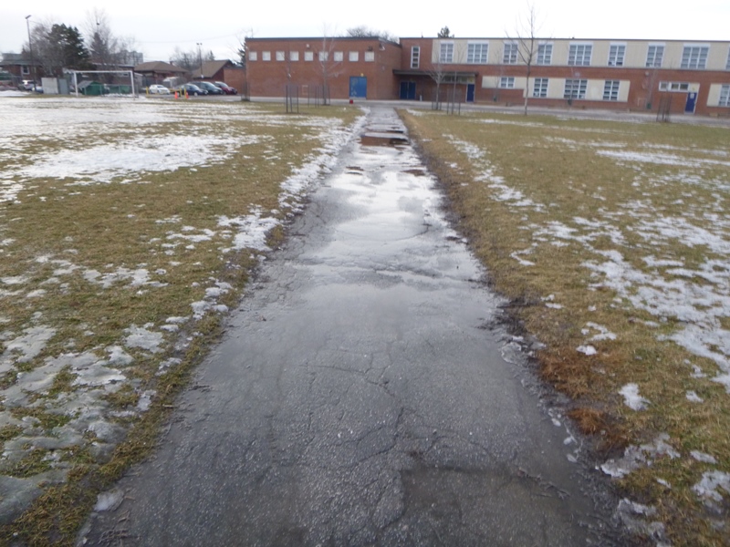 Terraview-Willowfield Public School | 95 Pachino Blvd, Scarborough, ON M1R 4K1, Canada | Phone: (416) 396-6595