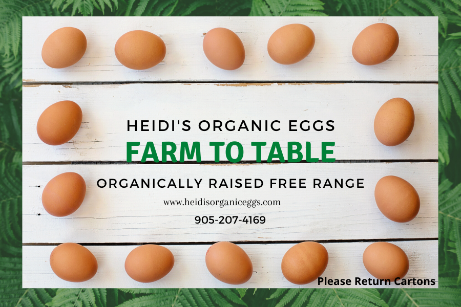 Heidis Organic Homestead | 229 Cowling Rd, Roseneath, ON K0K 2X0, Canada | Phone: (905) 207-4169