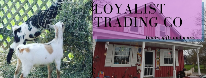 Loyalist Trading Co | 8682 Loyalist Pkwy, Bath, ON K0H 1G0, Canada | Phone: (613) 766-6993