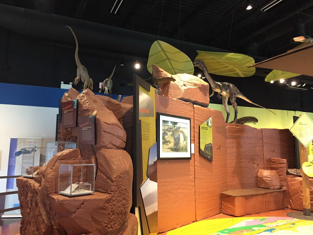 Fundy Geological Museum | 162 Two Islands Rd, Parrsboro, NS B0M 1S0, Canada | Phone: (902) 254-3814