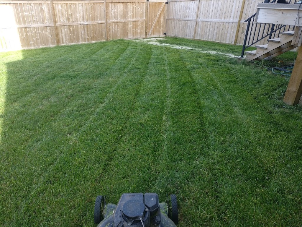 Grass Doctor - Lawn Care and Grass Cuts | 25 Redstone Villas NE, Calgary, AB T3N 1B5, Canada | Phone: (403) 890-8700