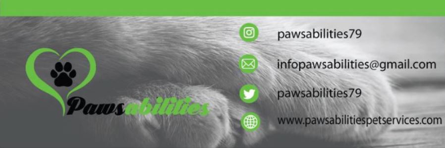 PawsAbilities Pet Services | 296 Thirtieth St, Etobicoke, ON M8W 3E3, Canada | Phone: (416) 879-0690