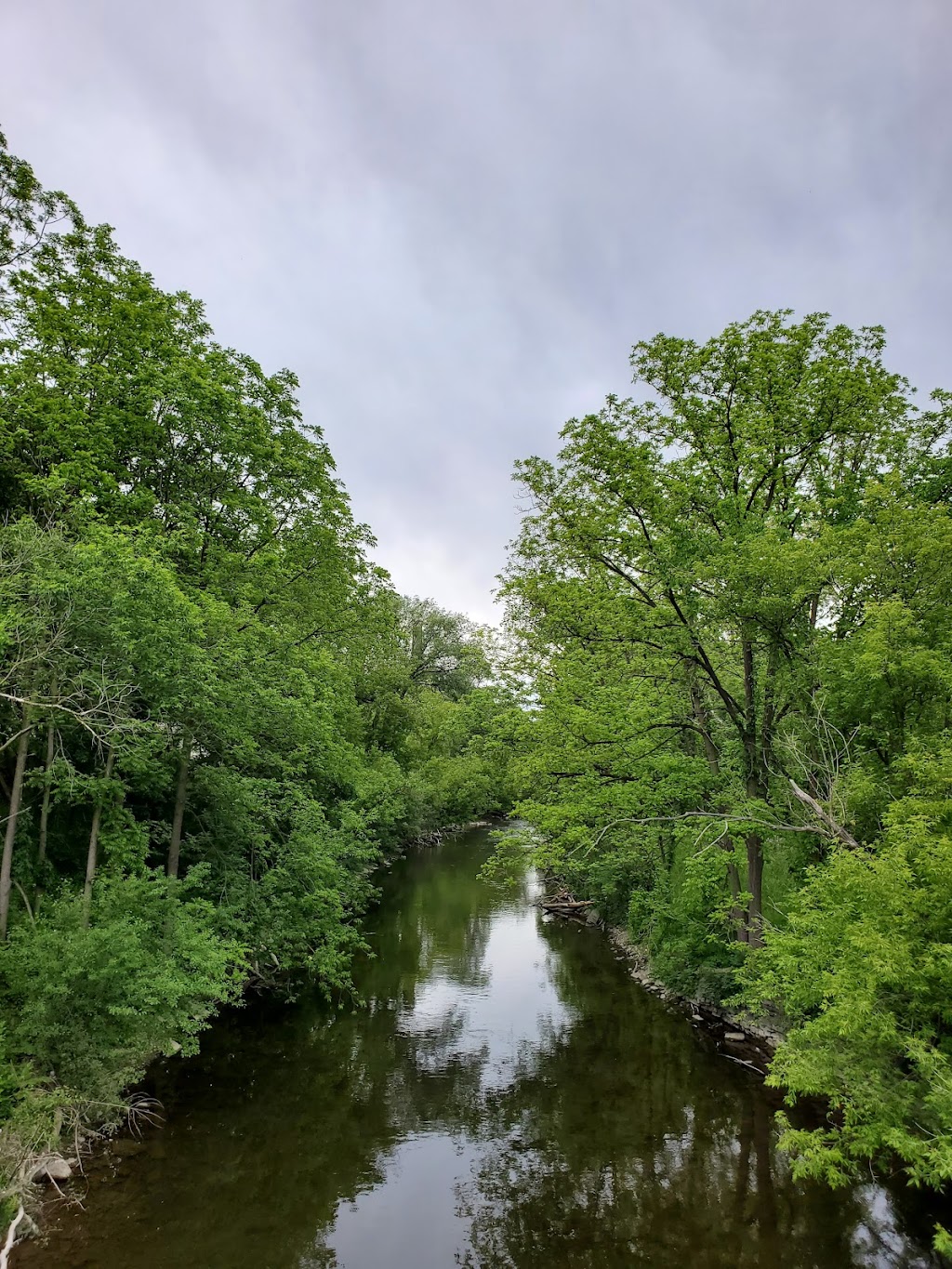 Goldie Mill Ruins | 75 Cardigan St, Guelph, ON N1H 3Z7, Canada | Phone: (519) 822-1260