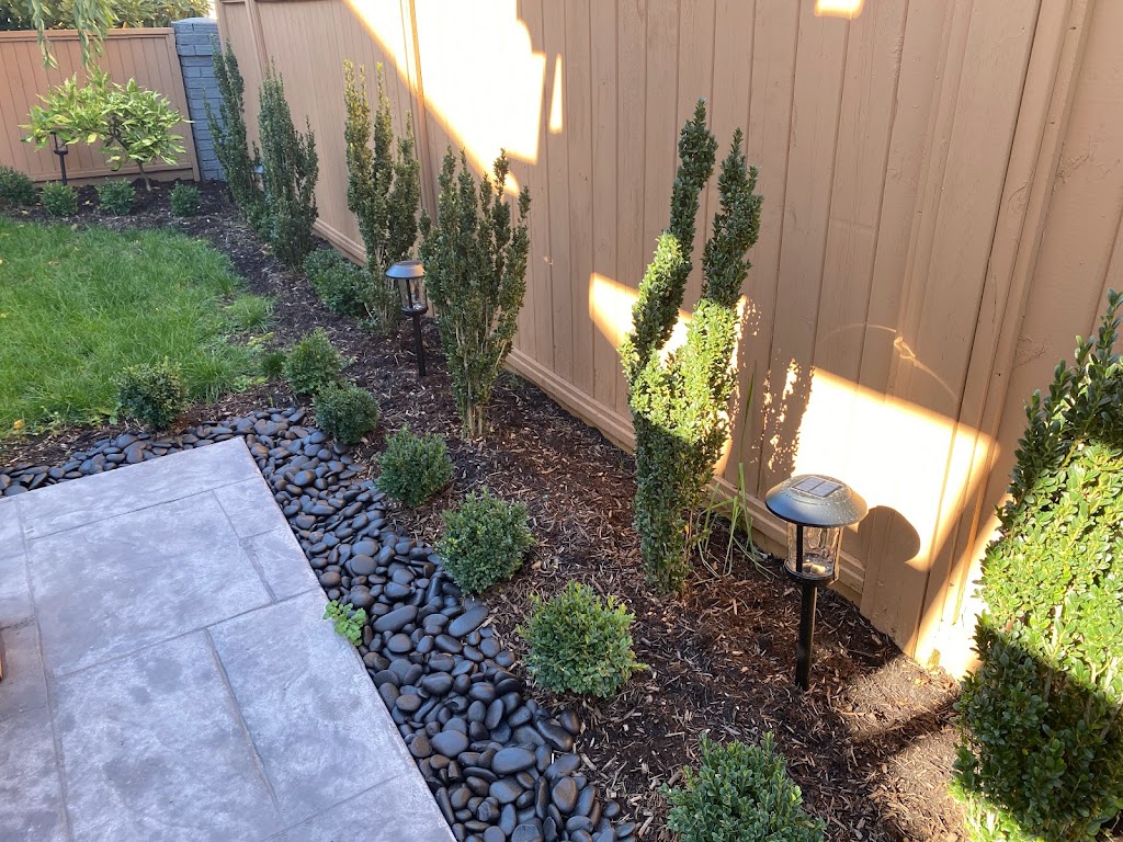 New View Landscaping | 3751 Bargen Dr, Richmond, BC V6X 2R7, Canada | Phone: (604) 690-6563