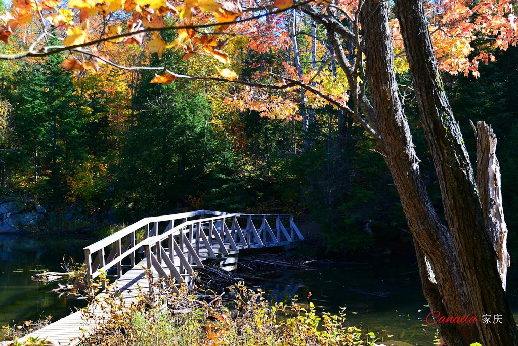 Kakakise Wood Bridge | Killarney, ON P0M, Canada