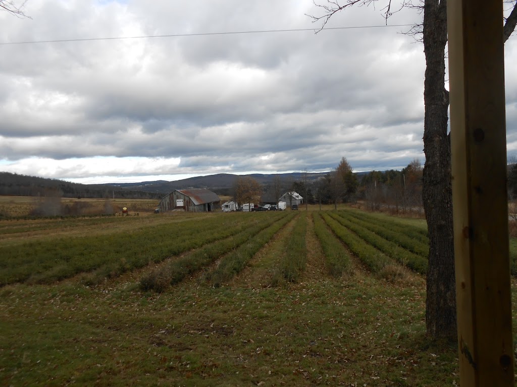 IDEAL PLANTATIONS / LES PLANTATIONS IDÉALES | 360 Rang des Chutes, Ham-Nord, QC G0P 1A0, Canada | Phone: (819) 344-2858