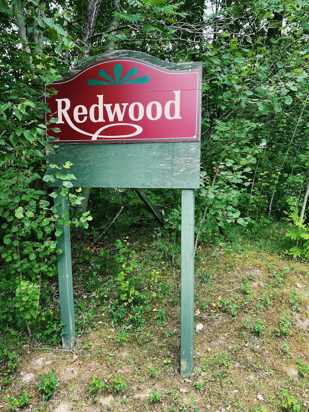 Redwood Country Day Camp | 2604 Rte Harwood, Vaudreuil-Dorion, QC J7V 8P2, Canada | Phone: (450) 455-3227