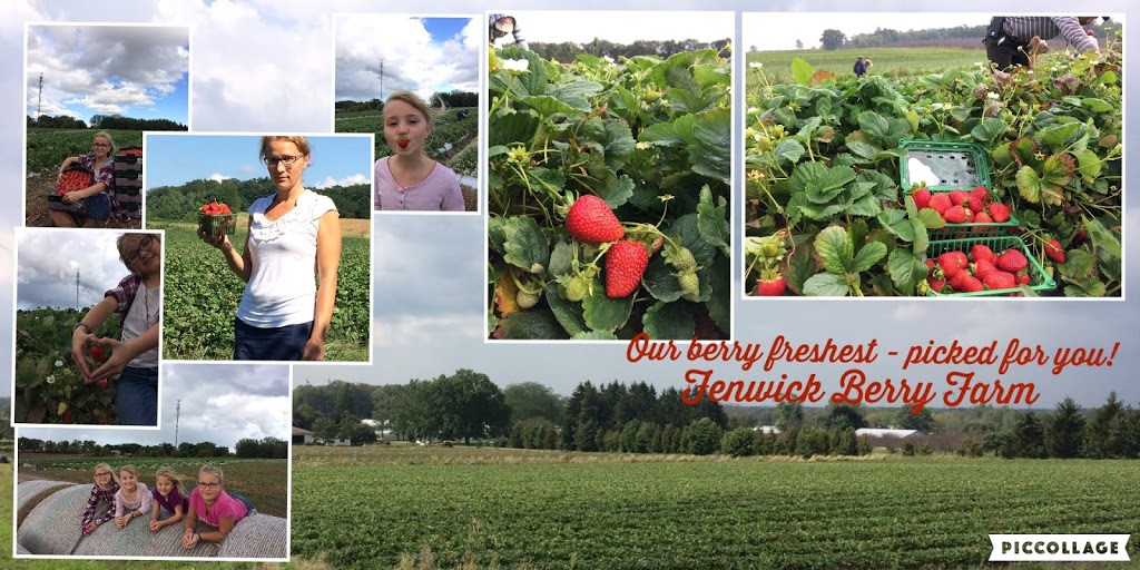 Fenwick Berry Farm: Office | 1367 Balfour St, Fenwick, ON L0S 1C0, Canada | Phone: (905) 892-8231