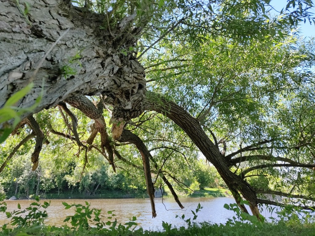 Parc Mrg-Wilfrid-Bérard | Saint-Pie, QC J0H 1N0, Canada