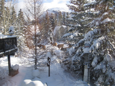 Homestead Bed & Breakfast | 168 Charles Carey, Canmore, AB T1W 2R4, Canada | Phone: (403) 678-8166