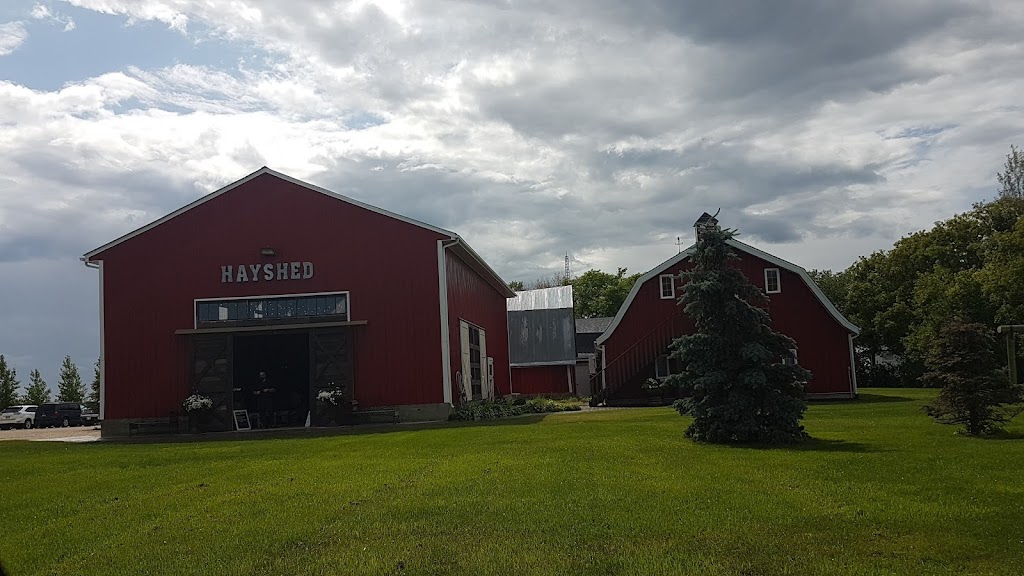 The Rustic Wedding Barn | 39056 Laurencelle lane, La Broquerie, MB R0A 0W0, Canada | Phone: (204) 355-8681