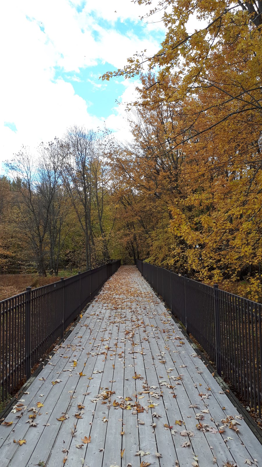 Marais bouthillier | 100 Chemin du Manoir, Rosemère, QC J7A 4R8, Canada