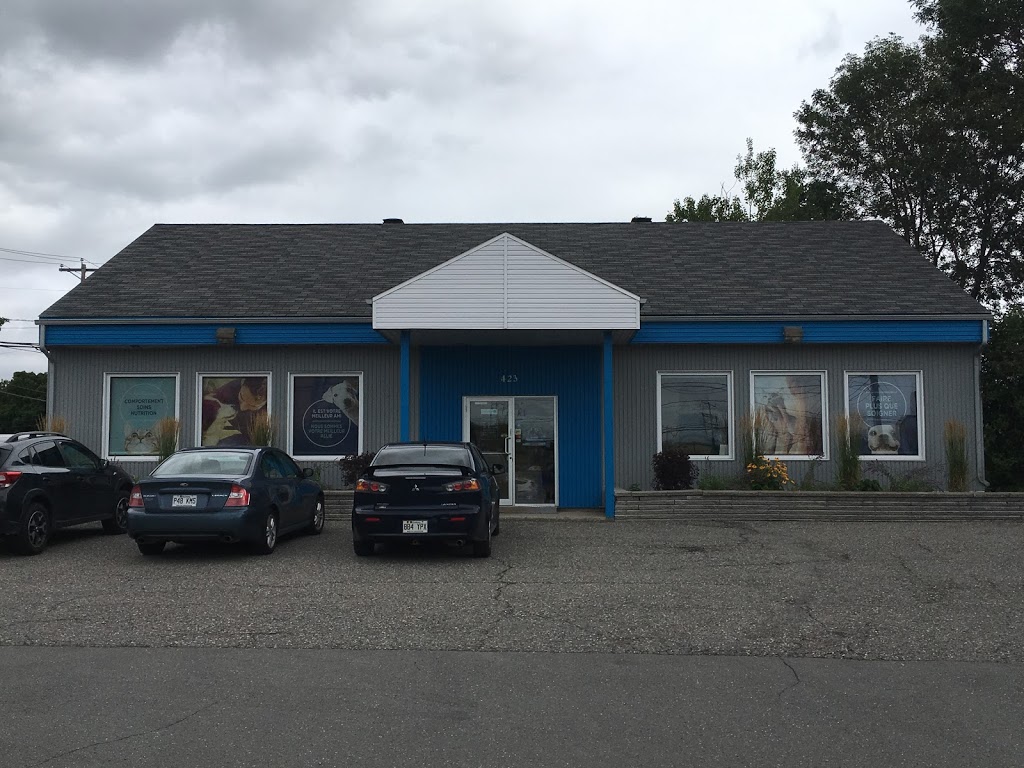 Globalvet - Veterinary Clinic St-Nicolas | 423 Rue des Chutes-de-la-Chaudière, Saint-Nicolas, QC G7A 1E7, Canada | Phone: (418) 831-1144