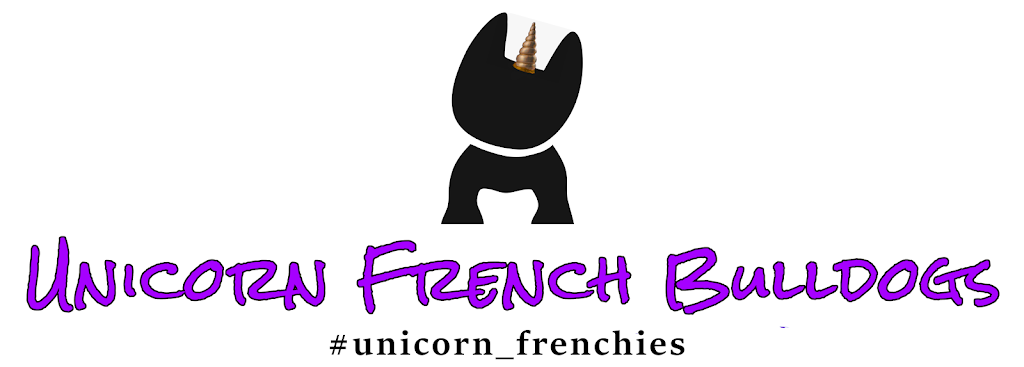 Unicorn French Bulldogs | Buckhorn Rd, Selwyn, ON K0L 2H0, Canada | Phone: (416) 755-0701
