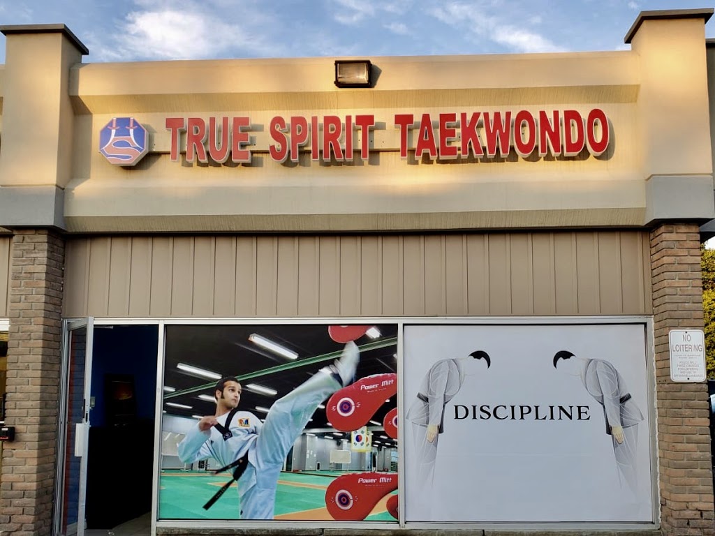 True Spirit Taekwondo | 6545 York Regional Rd 7, Markham, ON L3P 3B4, Canada | Phone: (647) 745-6080