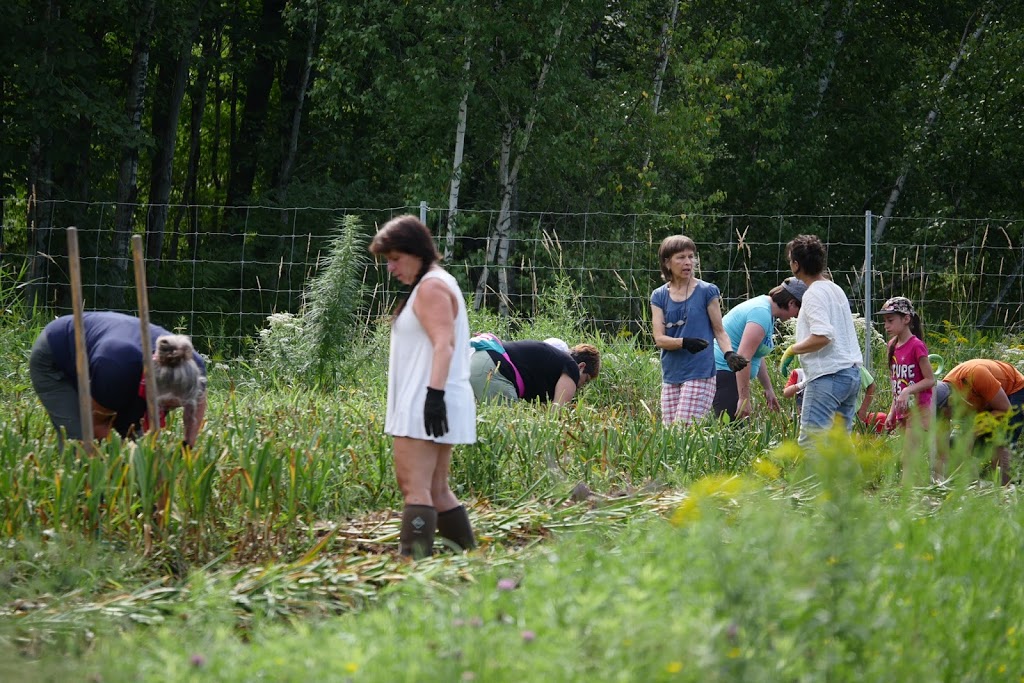 Le Champ de la Voisine | 525 Rue des Pivoines, Cowansville, QC J2K 0C4, Canada | Phone: (450) 525-2358