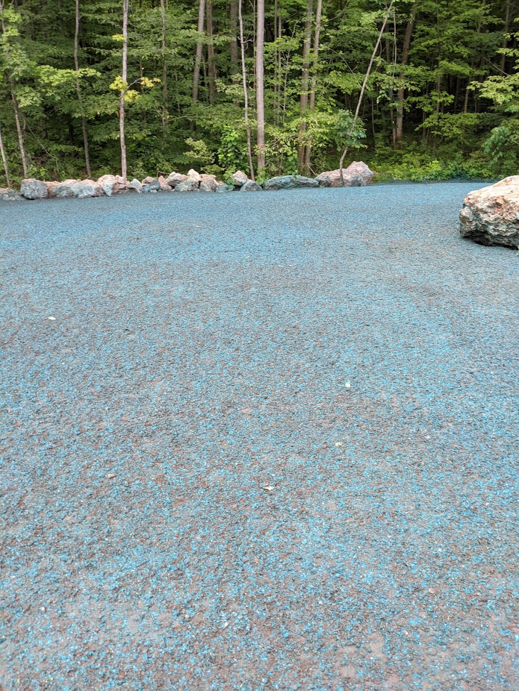 King Hydroseeding | 97 Healey Rd, Bolton, ON L7E 5A9, Canada | Phone: (905) 951-1101