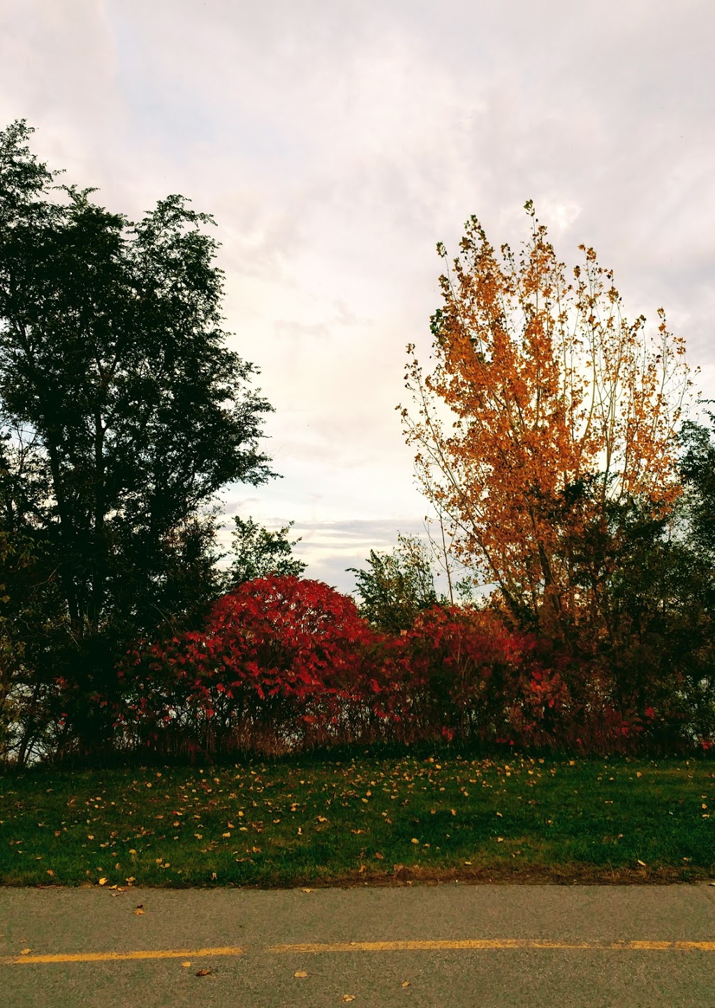 Champion Park | Verdun, QC H4G, Canada