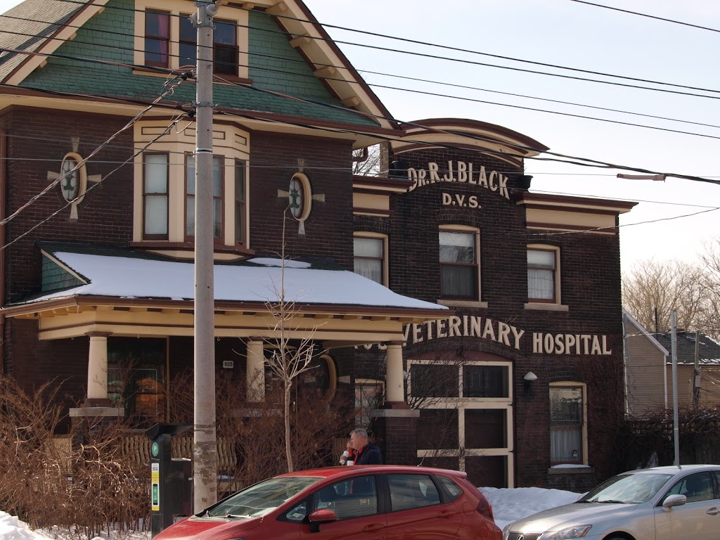 Blacks Toronto Veterinary Hospital | 923 Queen St E, Toronto, ON M4M 1J6, Canada | Phone: (416) 466-7351