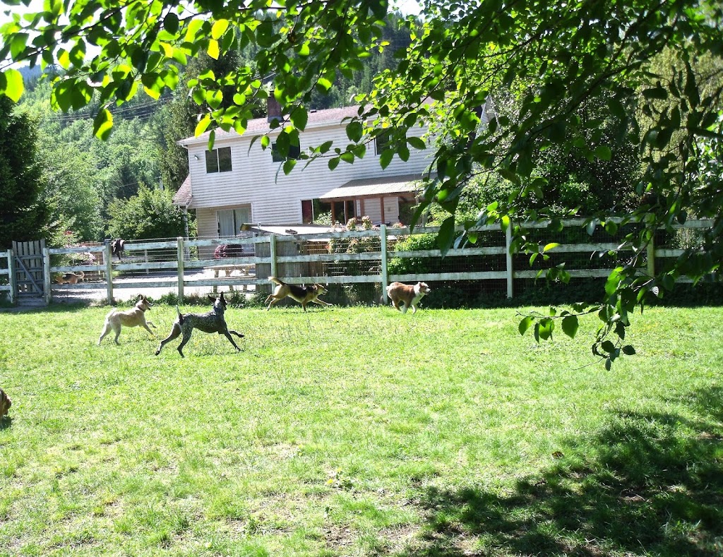 Country Ranch Dog Boarding and Training | 1032 Finch Dr, Squamish, BC V8B 0A4, Canada | Phone: (604) 849-0620