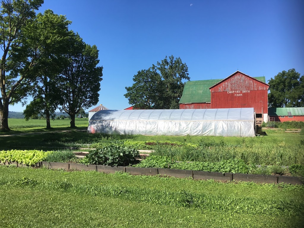 Rural Roots Nursery and Market Garden | 2674 County Rd 42, Stayner, ON L0M 1S0, Canada | Phone: (705) 305-3514