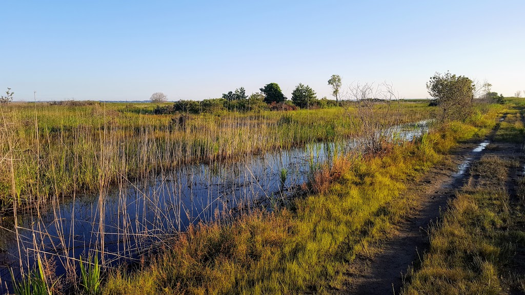 Long Point Birding Trail 6 (Crown Marsh) | Erie Blvd, Port Rowan, ON N0E 1M0, Canada