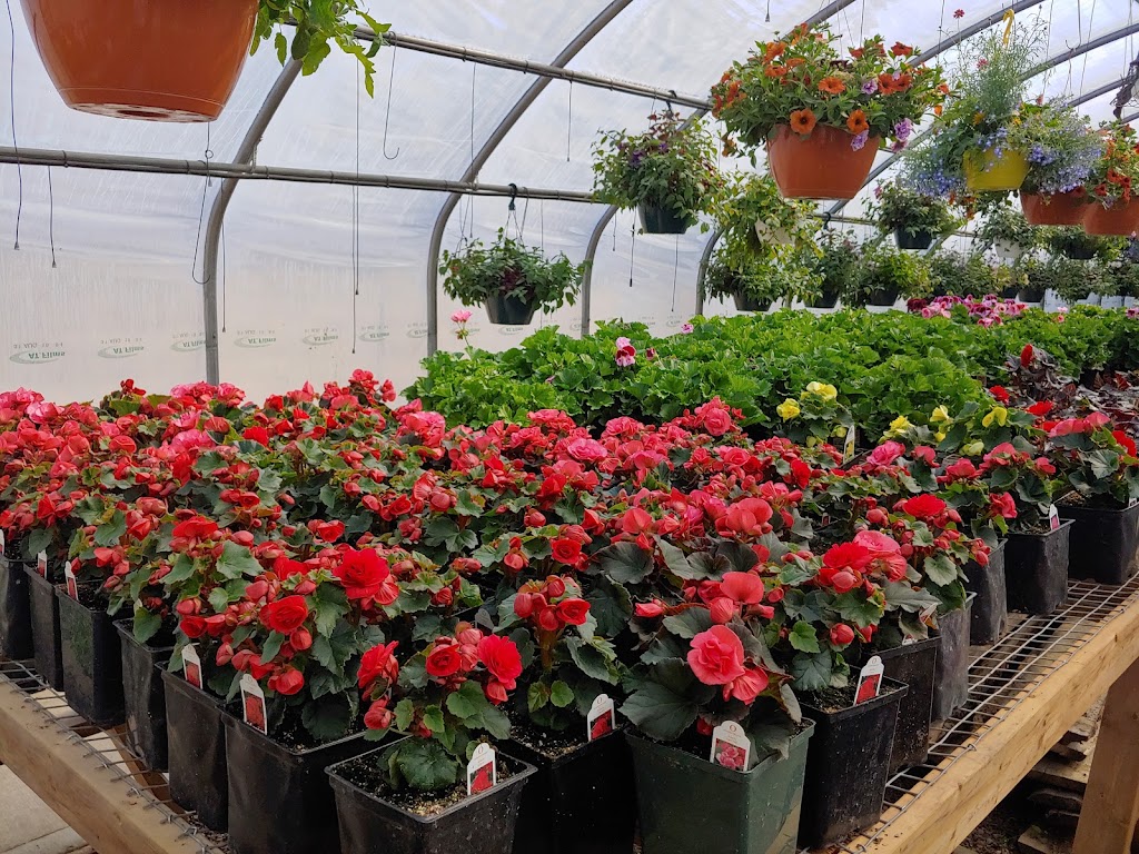 New Beginnings Greenhouse | 50371 Range Rd 244, Leduc County, AB T4X 0N9, Canada | Phone: (780) 929-1235