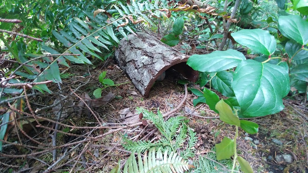 Priest Cabin Park | Juan De Fuca Dr, Shirley, BC V9Z 1G8, Canada