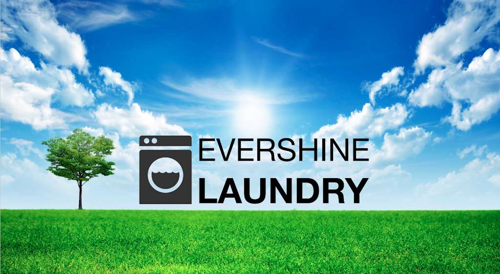 Evershine Laundry | 15299 68 Ave #122, Surrey, BC V3S 2C1, Canada | Phone: (778) 565-1455