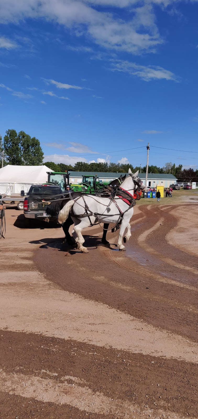 Hector Arena | 38 Naylor Dr, Pictou, NS B0K 1H0, Canada | Phone: (902) 485-5122