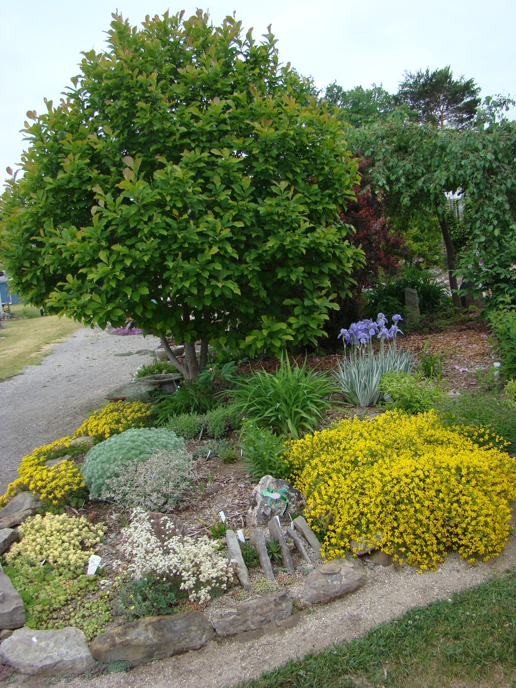 Rock Wall Gardens | 995 Code Rd, Perth, ON K7H 3C8, Canada | Phone: (613) 812-2069