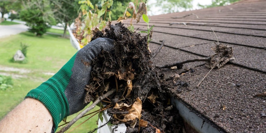 LEDGE Window Cleaning | 5 Glenrock Rd, Nobel, ON P0G 1G0, Canada | Phone: (705) 774-2854