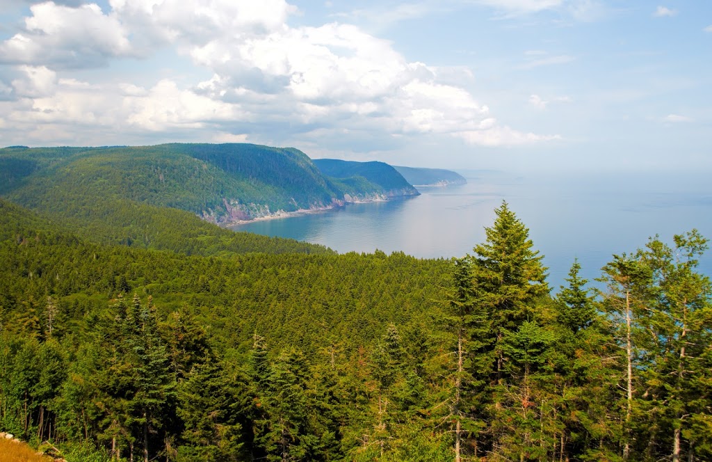 Fundy Trail Parkway | 3 Fundy Trail Pkwy, Salmon River, NB E5R 0B3, Canada | Phone: (506) 833-2019