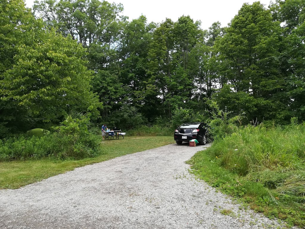 Bronte Creek Provincial Park (camping area) | 3201 Upper Middle Rd W, Oakville, ON L6M 4G5, Canada | Phone: (905) 827-6911