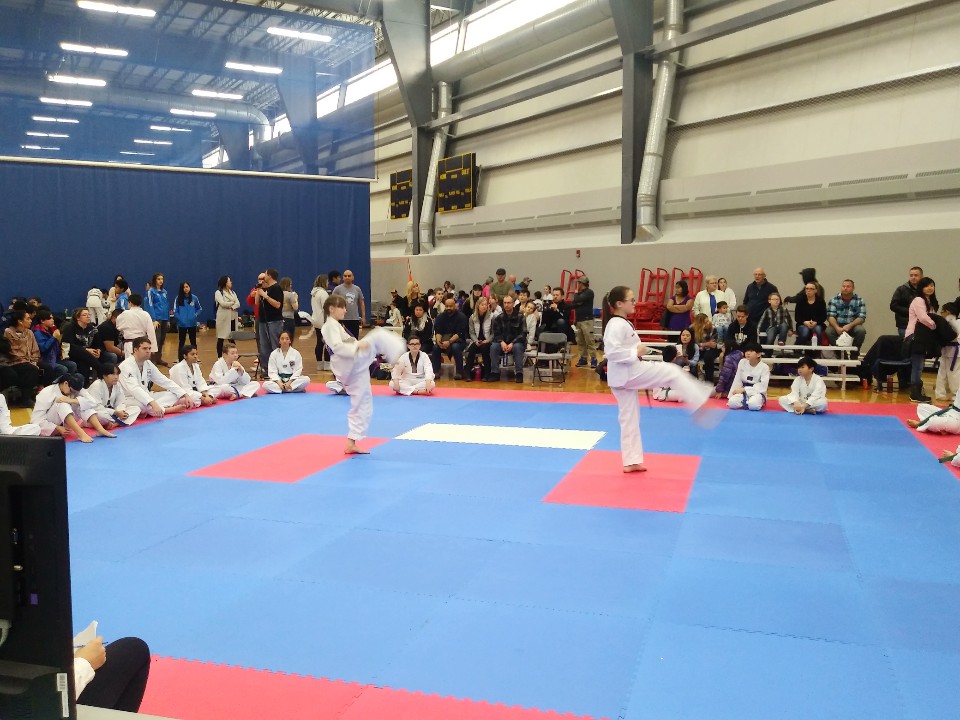 Prime Taekwondo School | 5001 30 Ave, Beaumont, AB T4X 1T9, Canada | Phone: (780) 695-8722